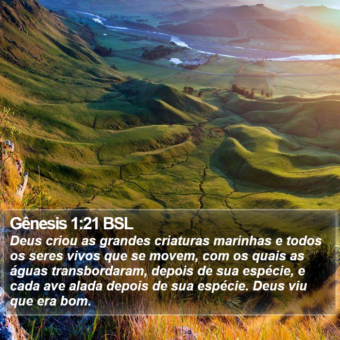 Gênesis 1:21 BSL Bible Study