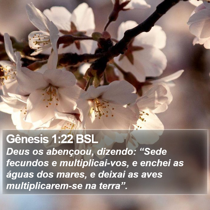 Gênesis 1:22 BSL Bible Study