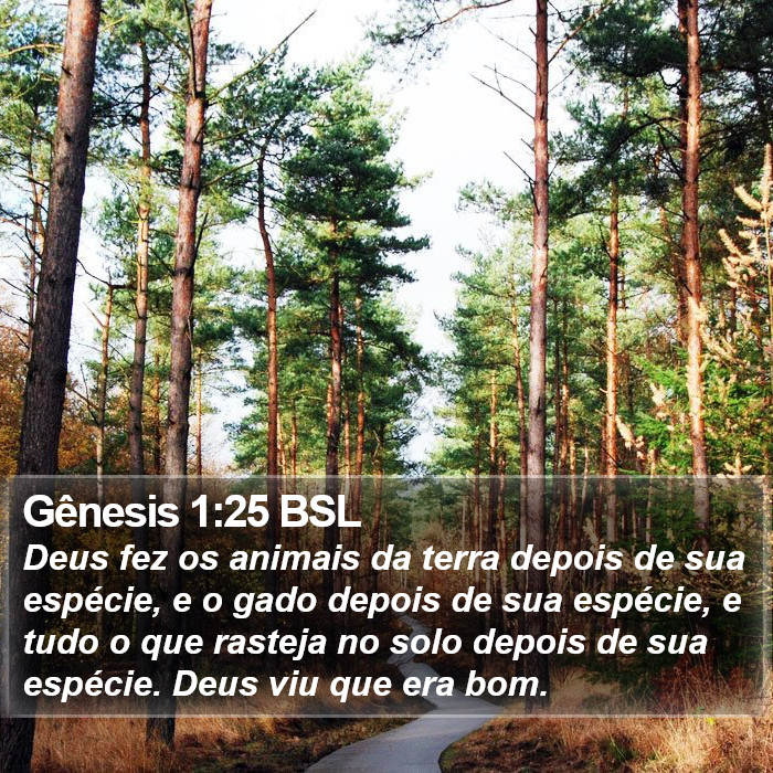 Gênesis 1:25 BSL Bible Study