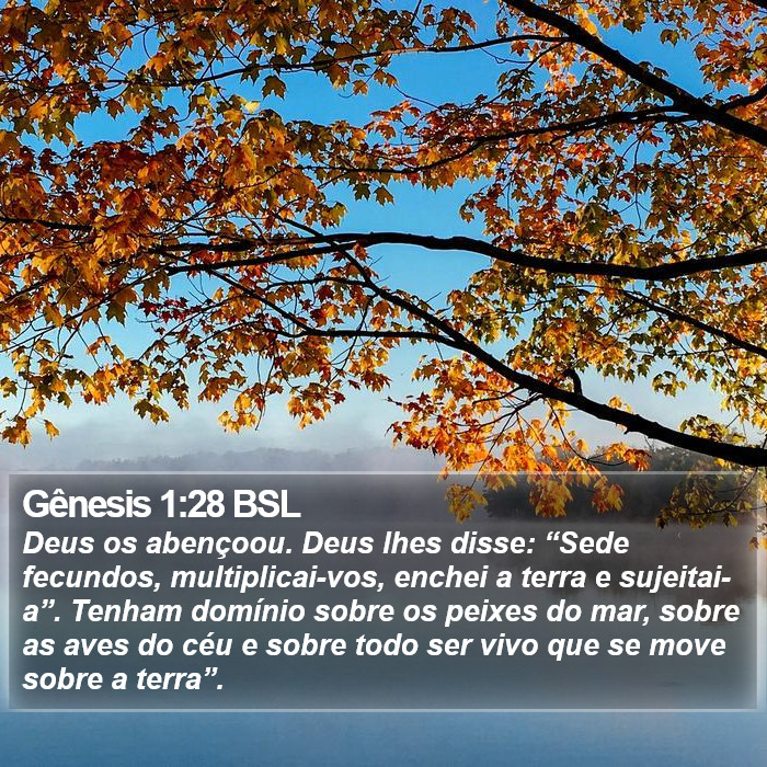 Gênesis 1:28 BSL Bible Study