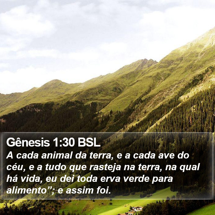 Gênesis 1:30 BSL Bible Study