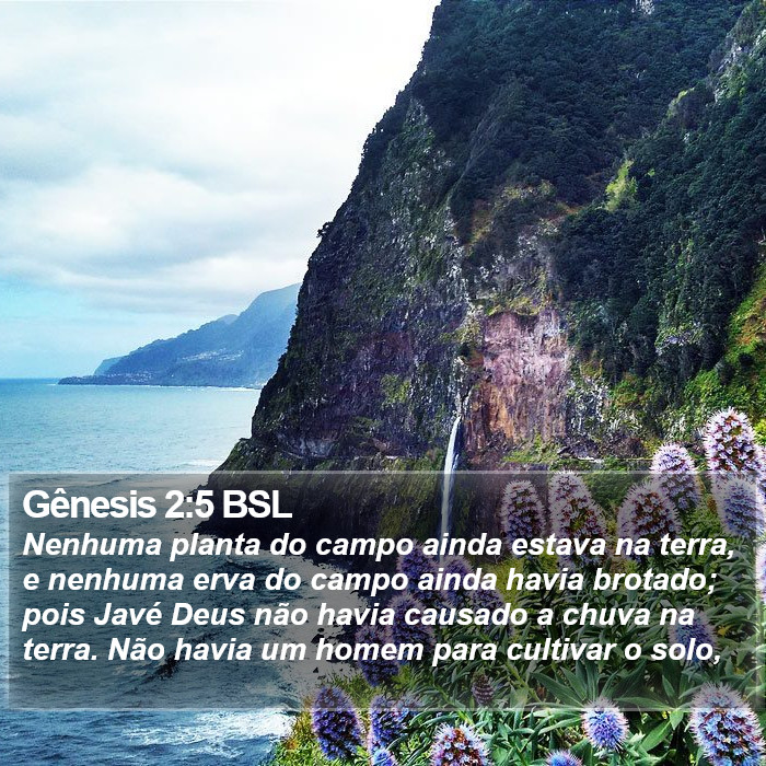 Gênesis 2:5 BSL Bible Study