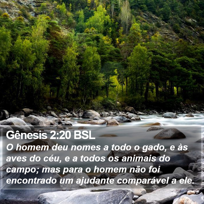 Gênesis 2:20 BSL Bible Study