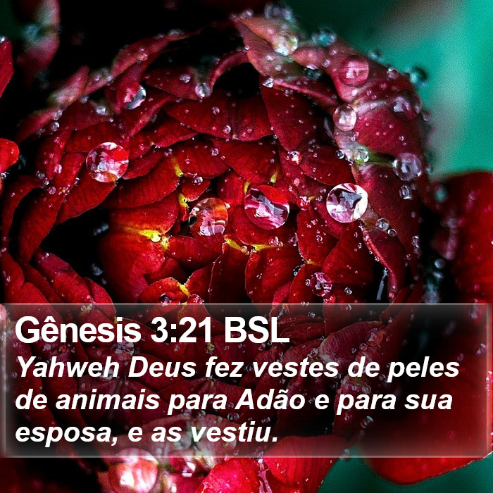 Gênesis 3:21 BSL Bible Study