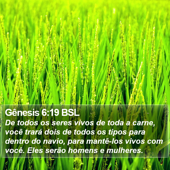 Gênesis 6:19 BSL Bible Study