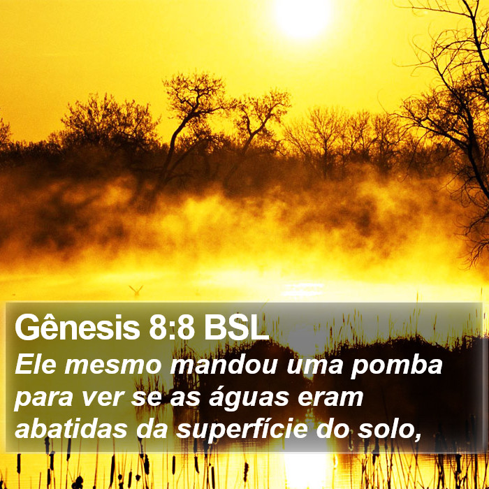 Gênesis 8:8 BSL Bible Study