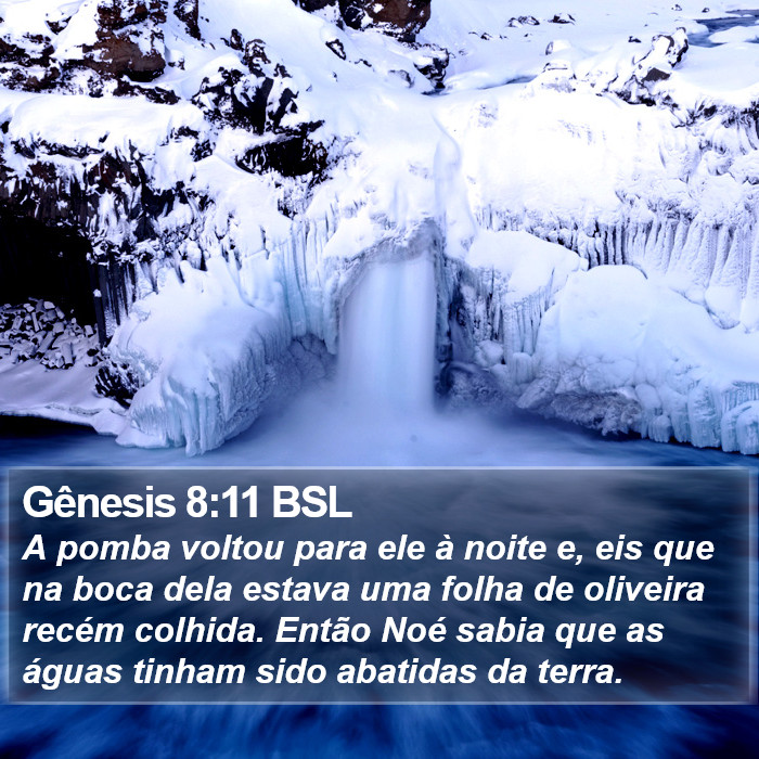 Gênesis 8:11 BSL Bible Study