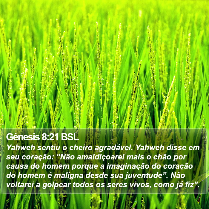 Gênesis 8:21 BSL Bible Study