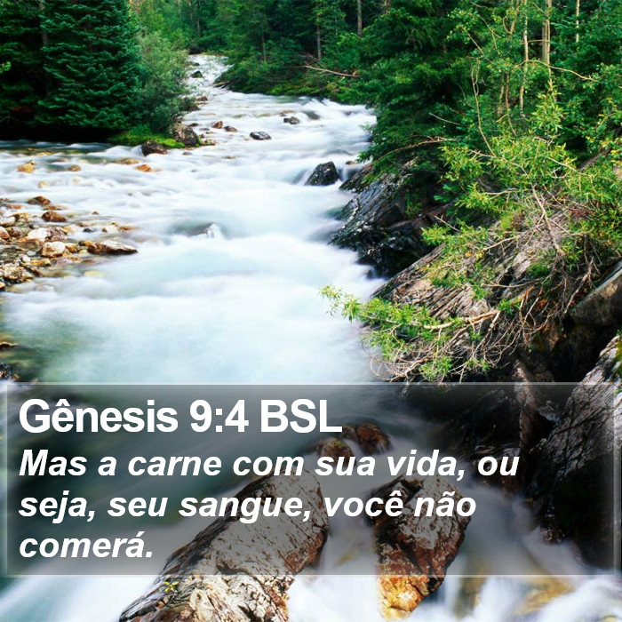 Gênesis 9:4 BSL Bible Study