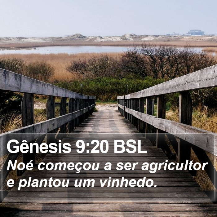 Gênesis 9:20 BSL Bible Study