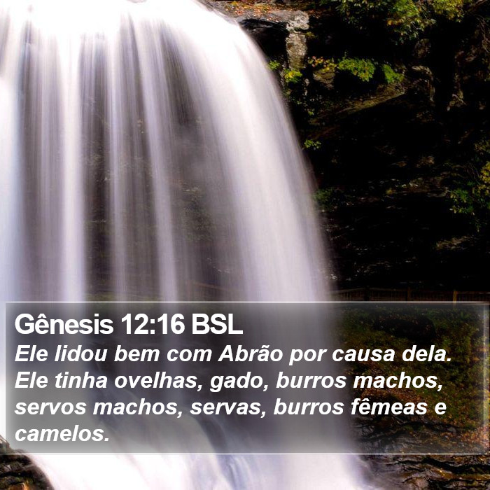 Gênesis 12:16 BSL Bible Study