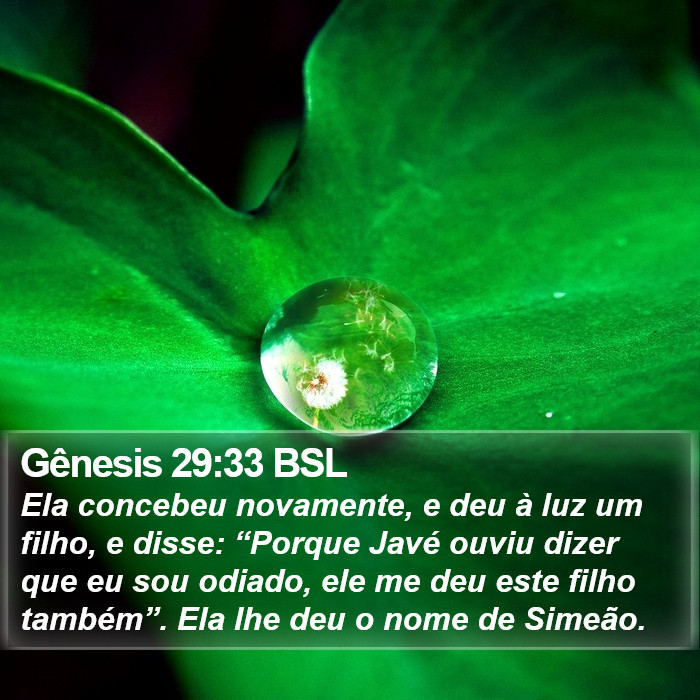 Gênesis 29:33 BSL Bible Study