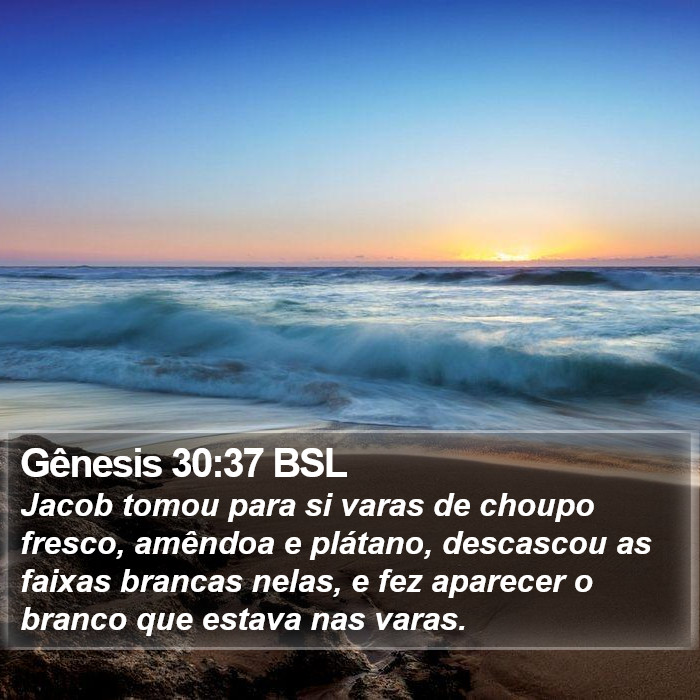 Gênesis 30:37 BSL Bible Study