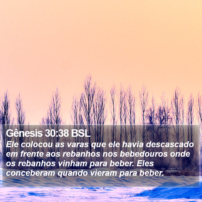 Gênesis 30:38 BSL Bible Study