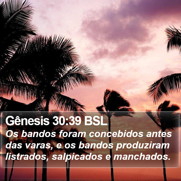 Gênesis 30:39 BSL Bible Study