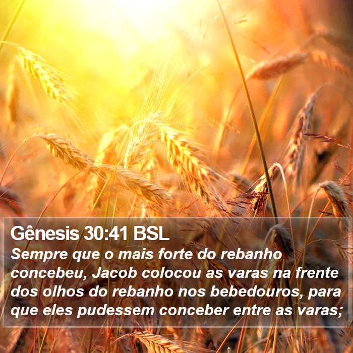 Gênesis 30:41 BSL Bible Study