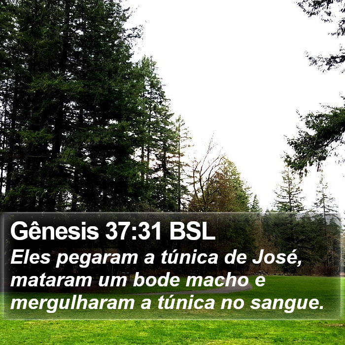 Gênesis 37:31 BSL Bible Study