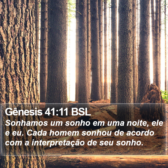 Gênesis 41:11 BSL Bible Study