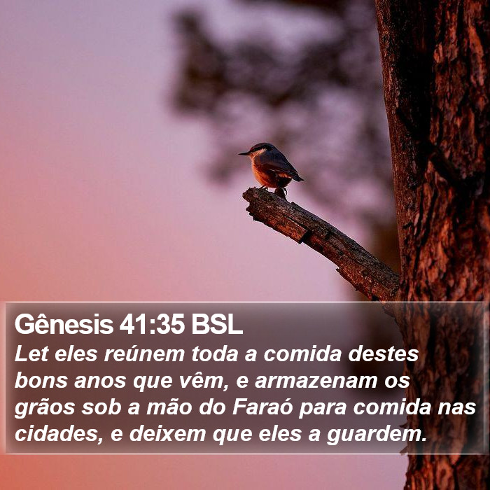 Gênesis 41:35 BSL Bible Study