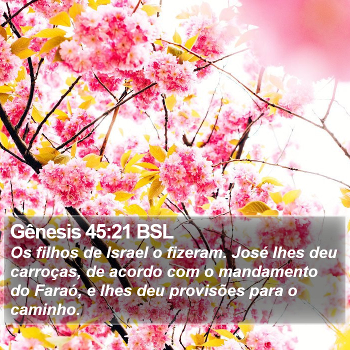 Gênesis 45:21 BSL Bible Study