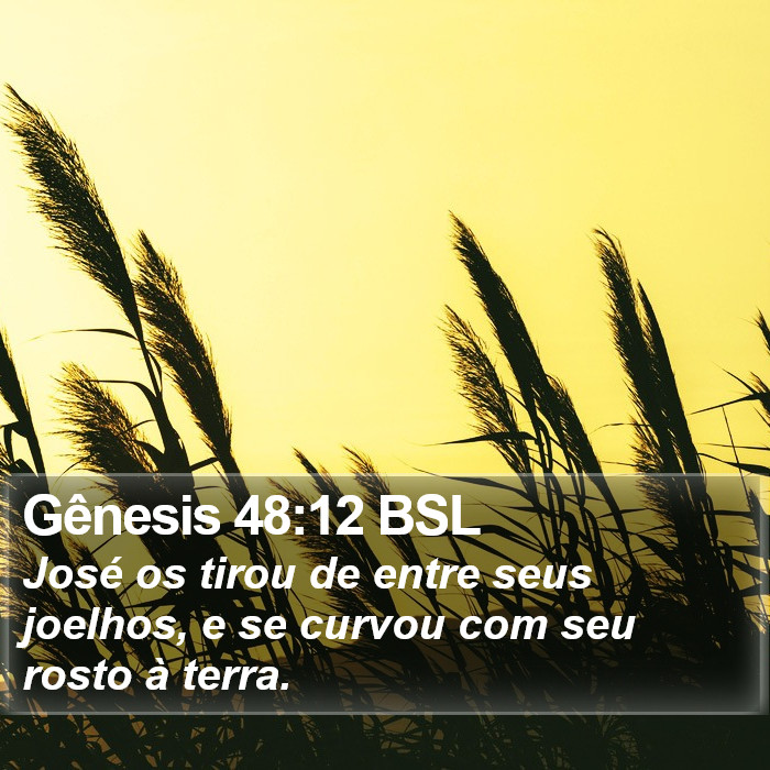 Gênesis 48:12 BSL Bible Study