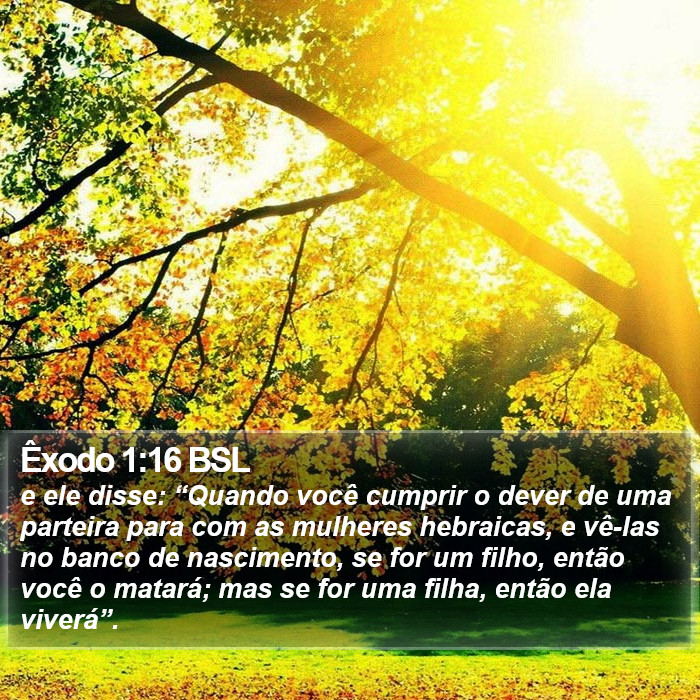 Êxodo 1:16 BSL Bible Study