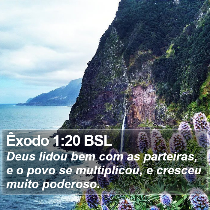 Êxodo 1:20 BSL Bible Study