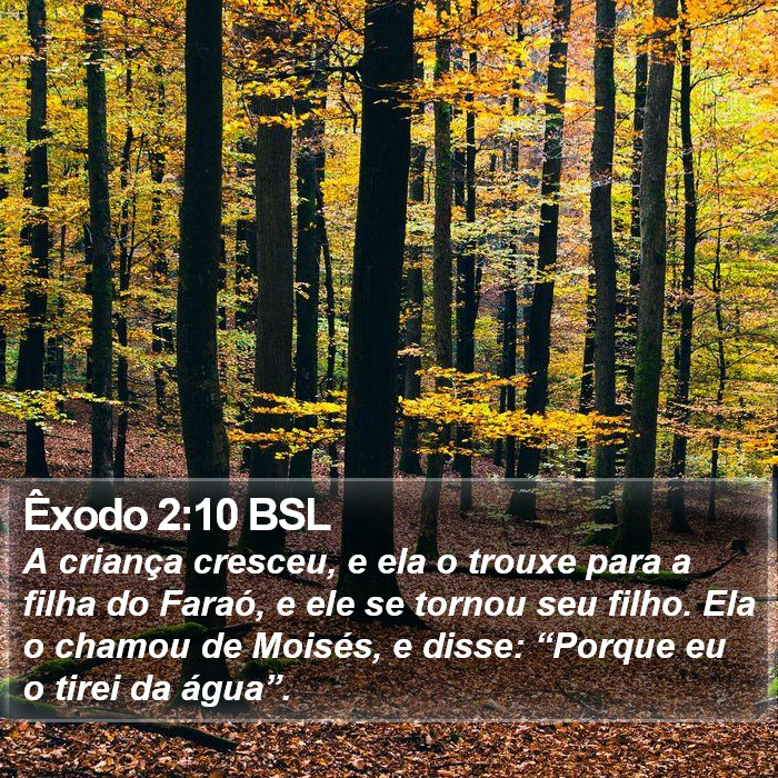 Êxodo 2:10 BSL Bible Study