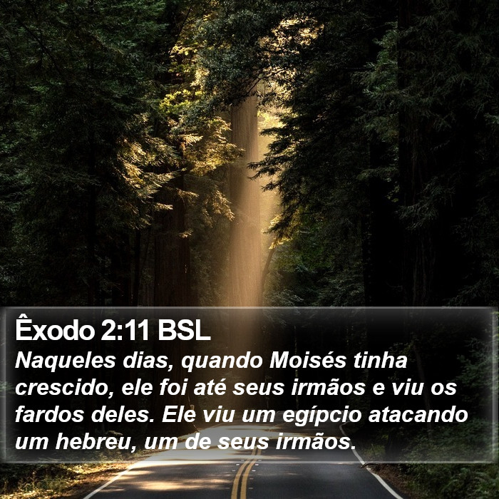 Êxodo 2:11 BSL Bible Study