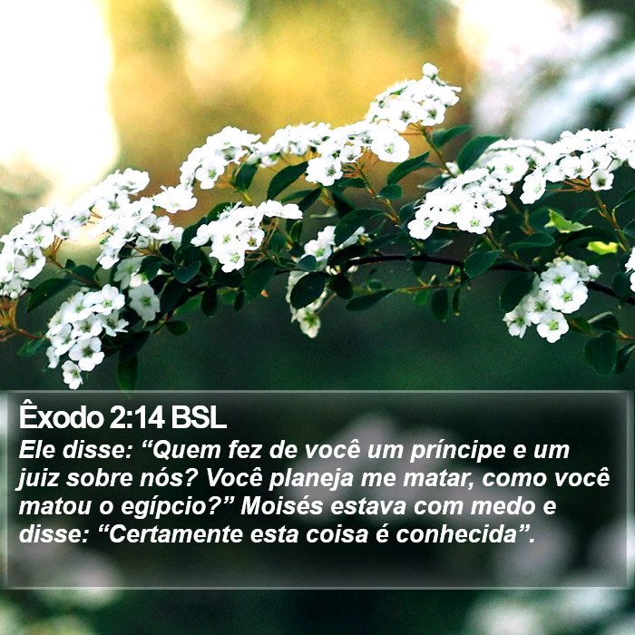 Êxodo 2:14 BSL Bible Study