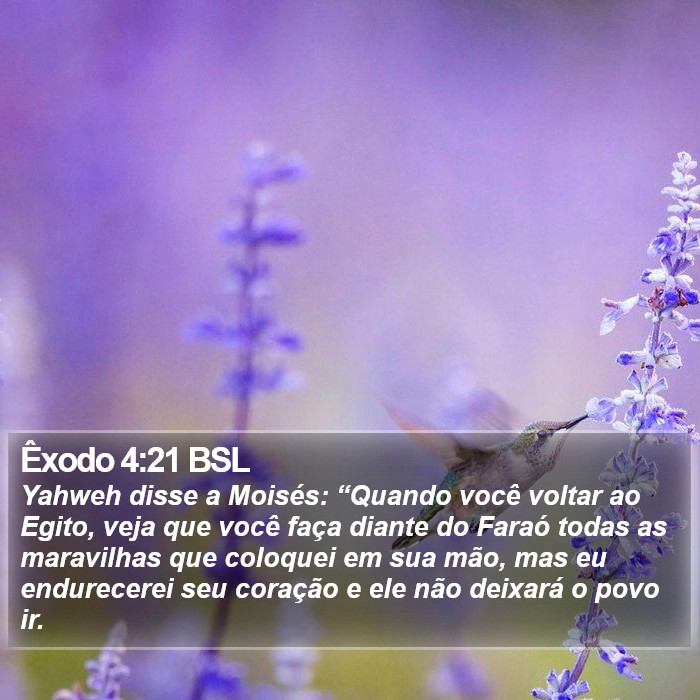 Êxodo 4:21 BSL Bible Study