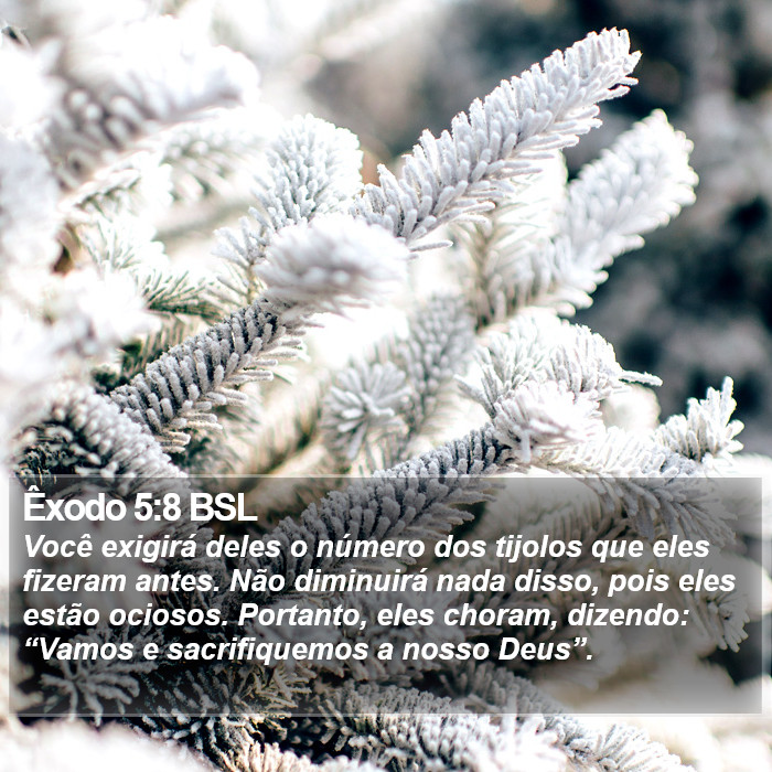 Êxodo 5:8 BSL Bible Study