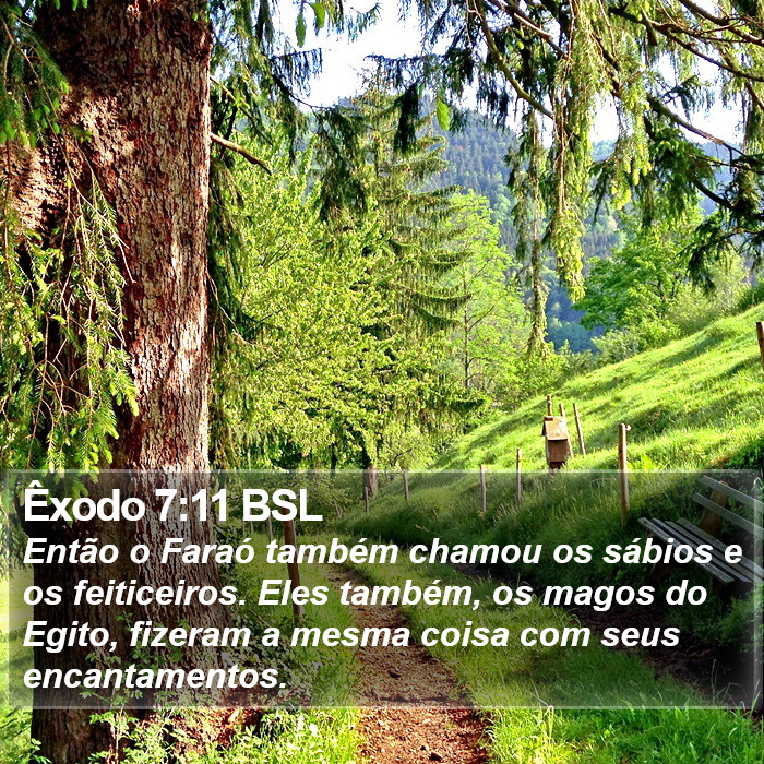 Êxodo 7:11 BSL Bible Study
