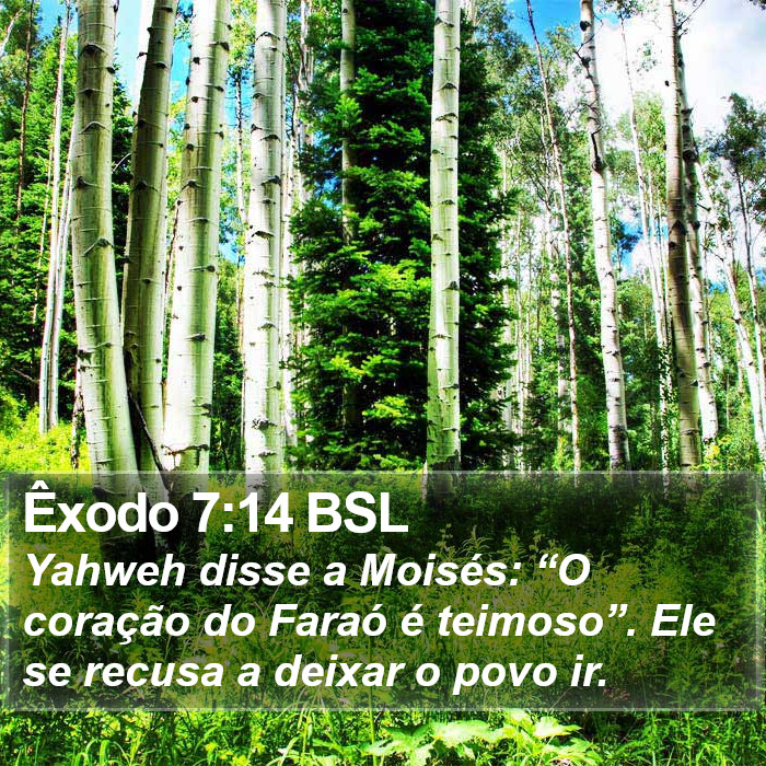 Êxodo 7:14 BSL Bible Study