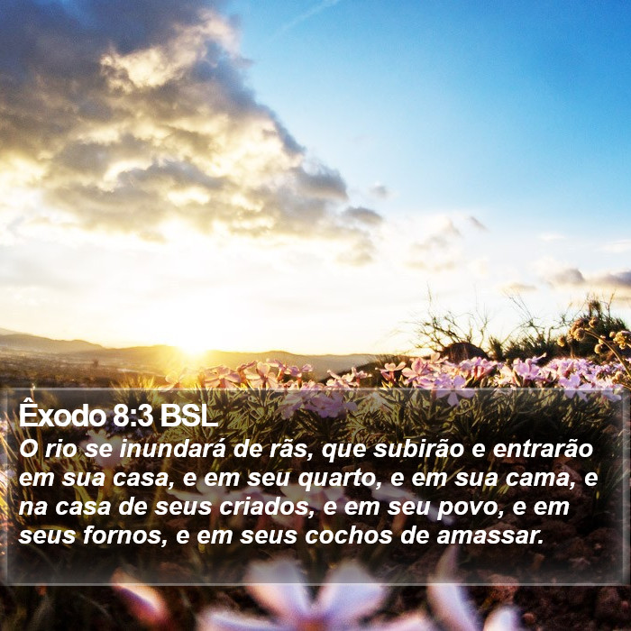Êxodo 8:3 BSL Bible Study