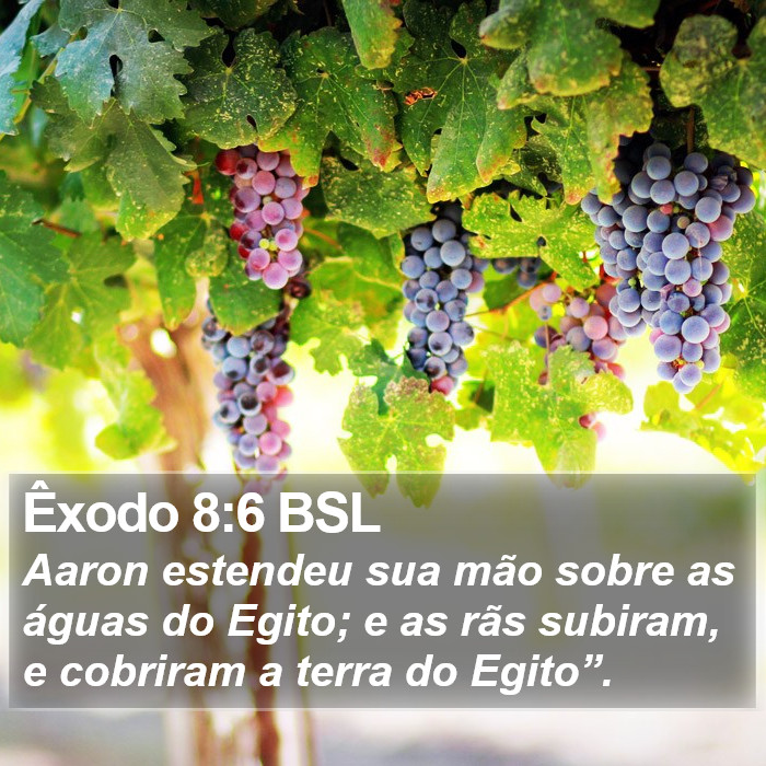 Êxodo 8:6 BSL Bible Study