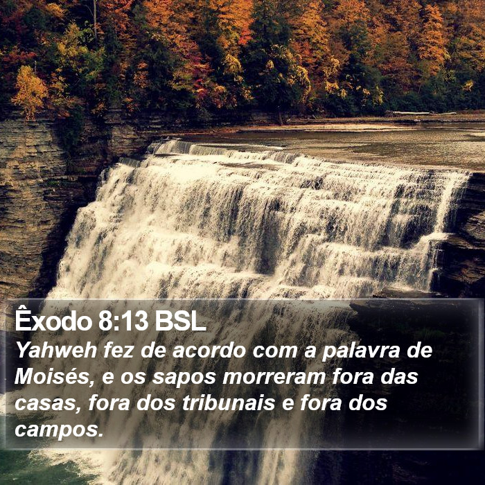 Êxodo 8:13 BSL Bible Study
