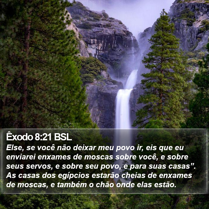 Êxodo 8:21 BSL Bible Study