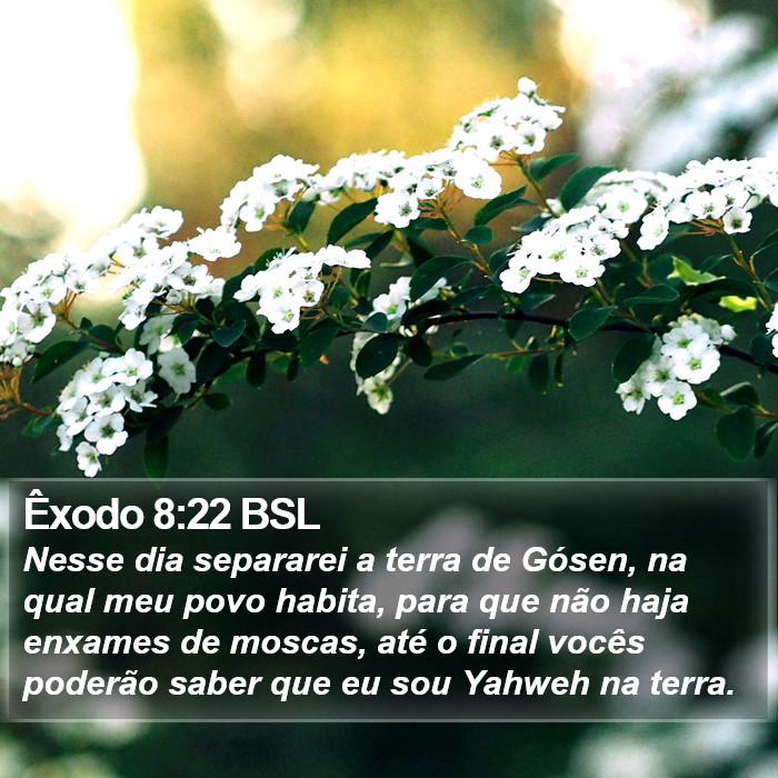 Êxodo 8:22 BSL Bible Study