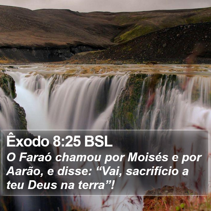 Êxodo 8:25 BSL Bible Study