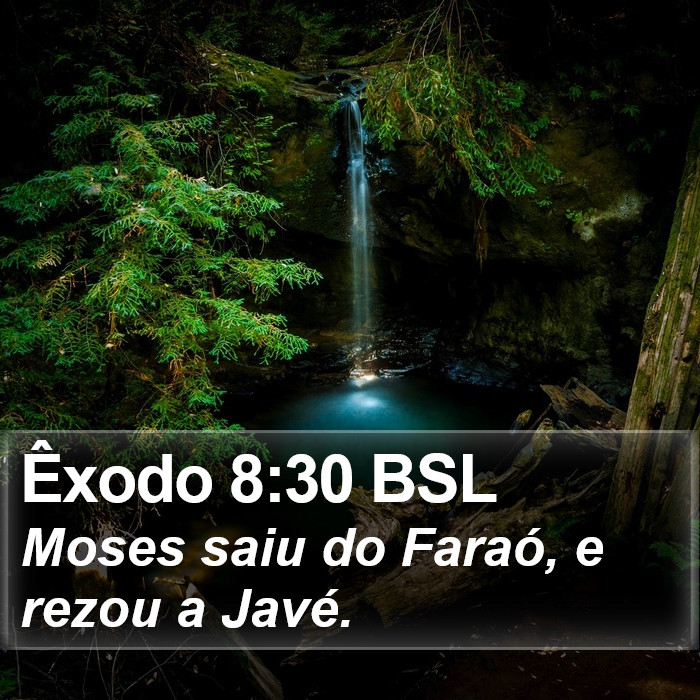 Êxodo 8:30 BSL Bible Study