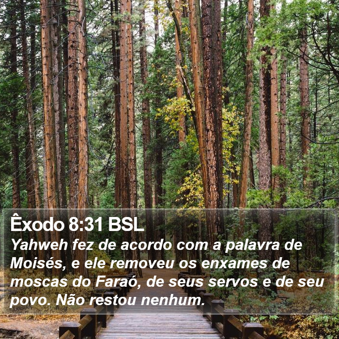 Êxodo 8:31 BSL Bible Study