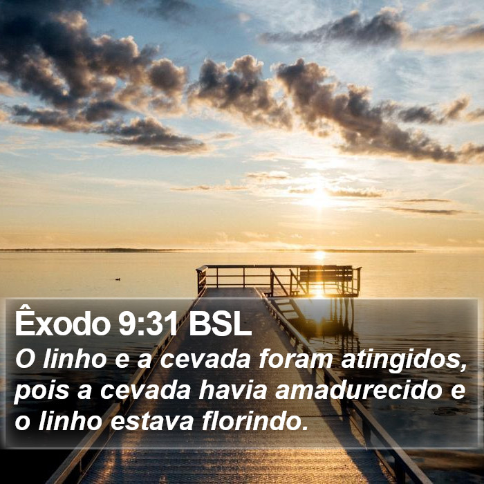 Êxodo 9:31 BSL Bible Study