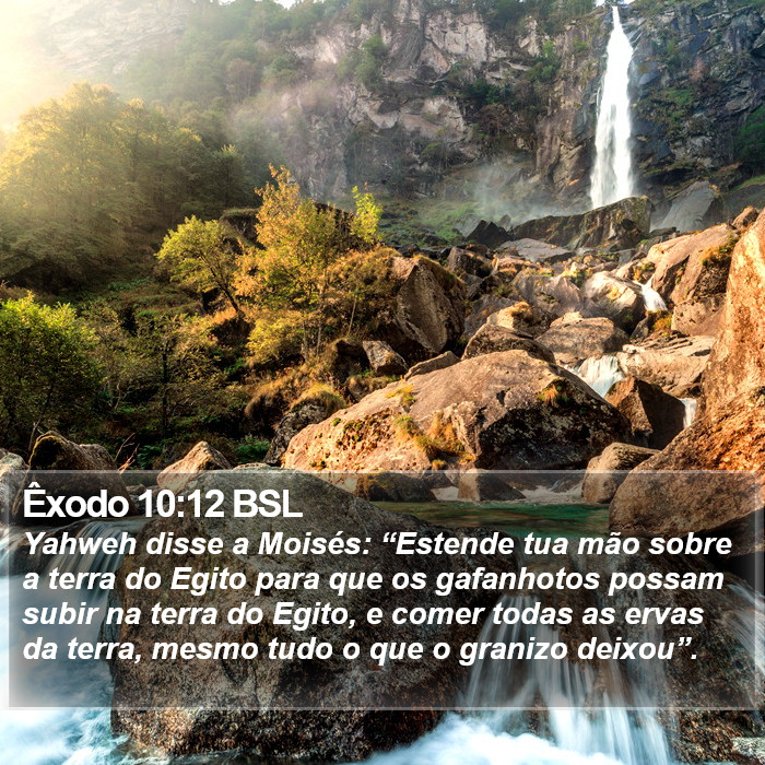 Êxodo 10:12 BSL Bible Study