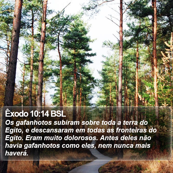 Êxodo 10:14 BSL Bible Study