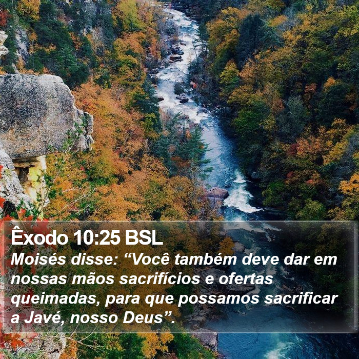 Êxodo 10:25 BSL Bible Study