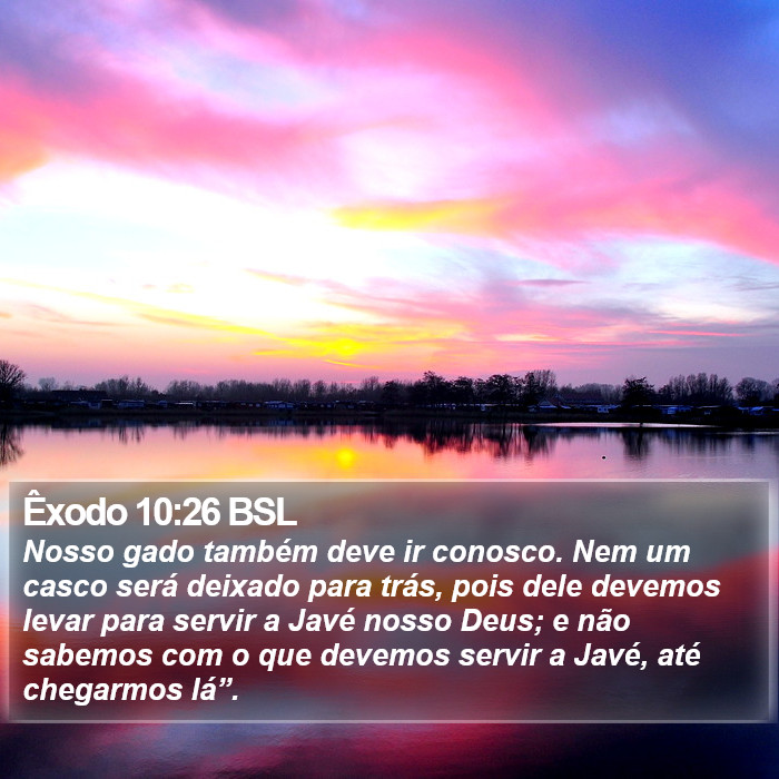 Êxodo 10:26 BSL Bible Study