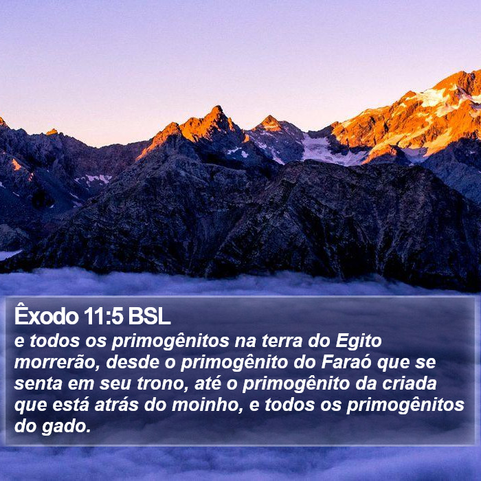 Êxodo 11:5 BSL Bible Study