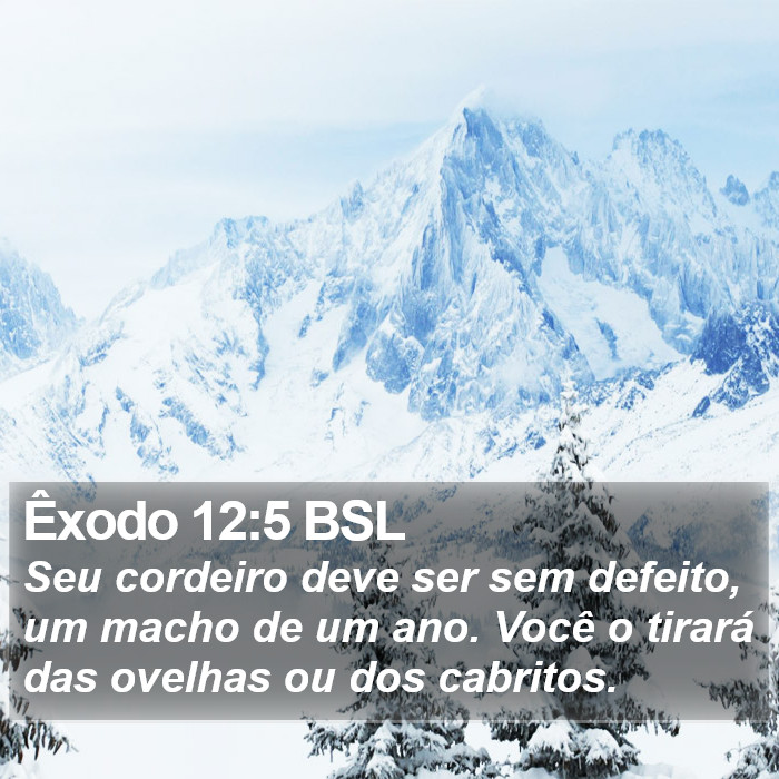 Êxodo 12:5 BSL Bible Study