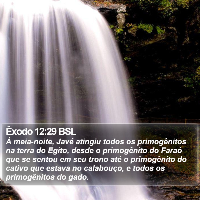 Êxodo 12:29 BSL Bible Study